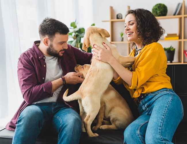 What to Anticipate from A Family Pet Caretaker