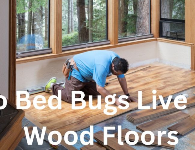 Do Bed Bugs Live On Wood Floors