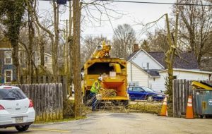 <strong>Stress-Relieving Features Of Professional Crane Services</strong>