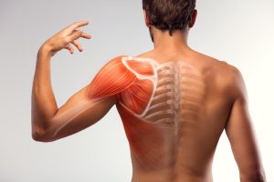 What is muscle pain? How to treat it.