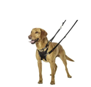 <strong>1. The Perfect Fit – Soft & Breathable No Pull Harness for Dogs</strong>