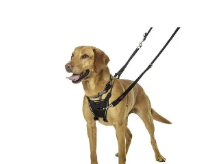 <strong>1. The Perfect Fit – Soft & Breathable No Pull Harness for Dogs</strong>