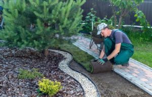Tips For Summer Gardening By Getting Landscaping Services