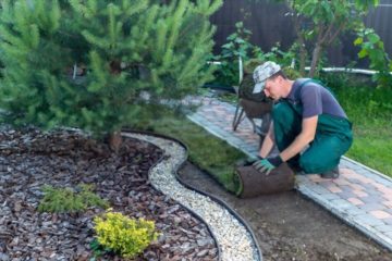Tips For Summer Gardening By Getting Landscaping Services