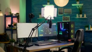 Strategies for Developing Fun and Interactive PC Games