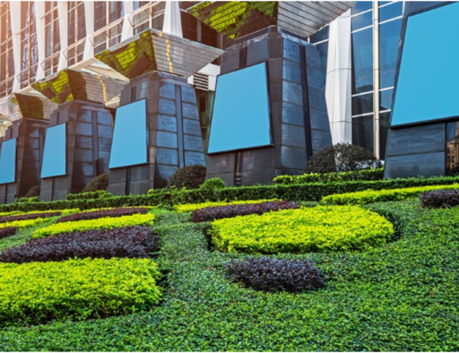 Tips for Crafting a Gorgeous Lawn for Your Commercial Property