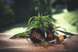 Reasons behind the increasing hype of CBD oil in India